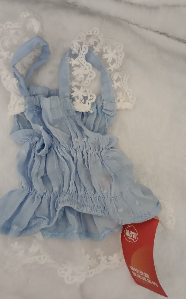 Pet Clothes Bundle: for sm/med sized dog &/or cat. sizes: Small/Medium.