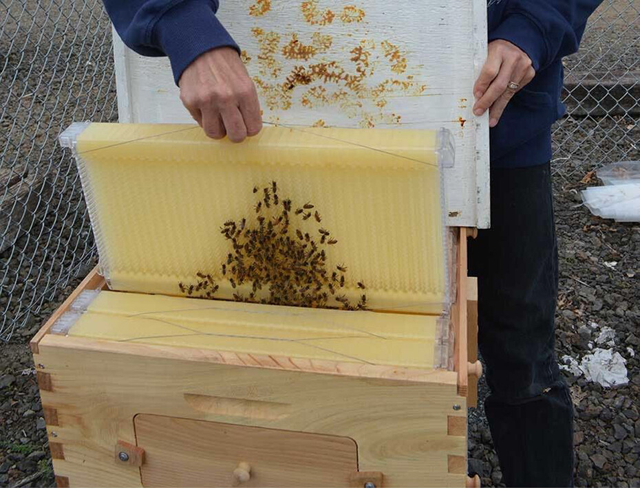 Improved 7x Auto Seep Beehive Frames Beekeeping Frames Bee Frames Beehive Frames