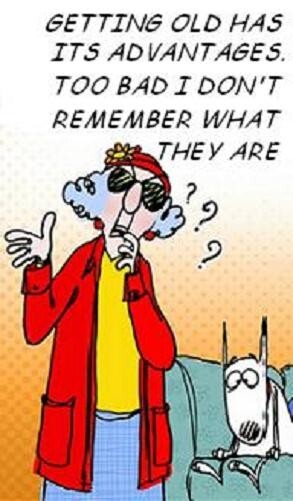Maxine Fridge Magnet #6