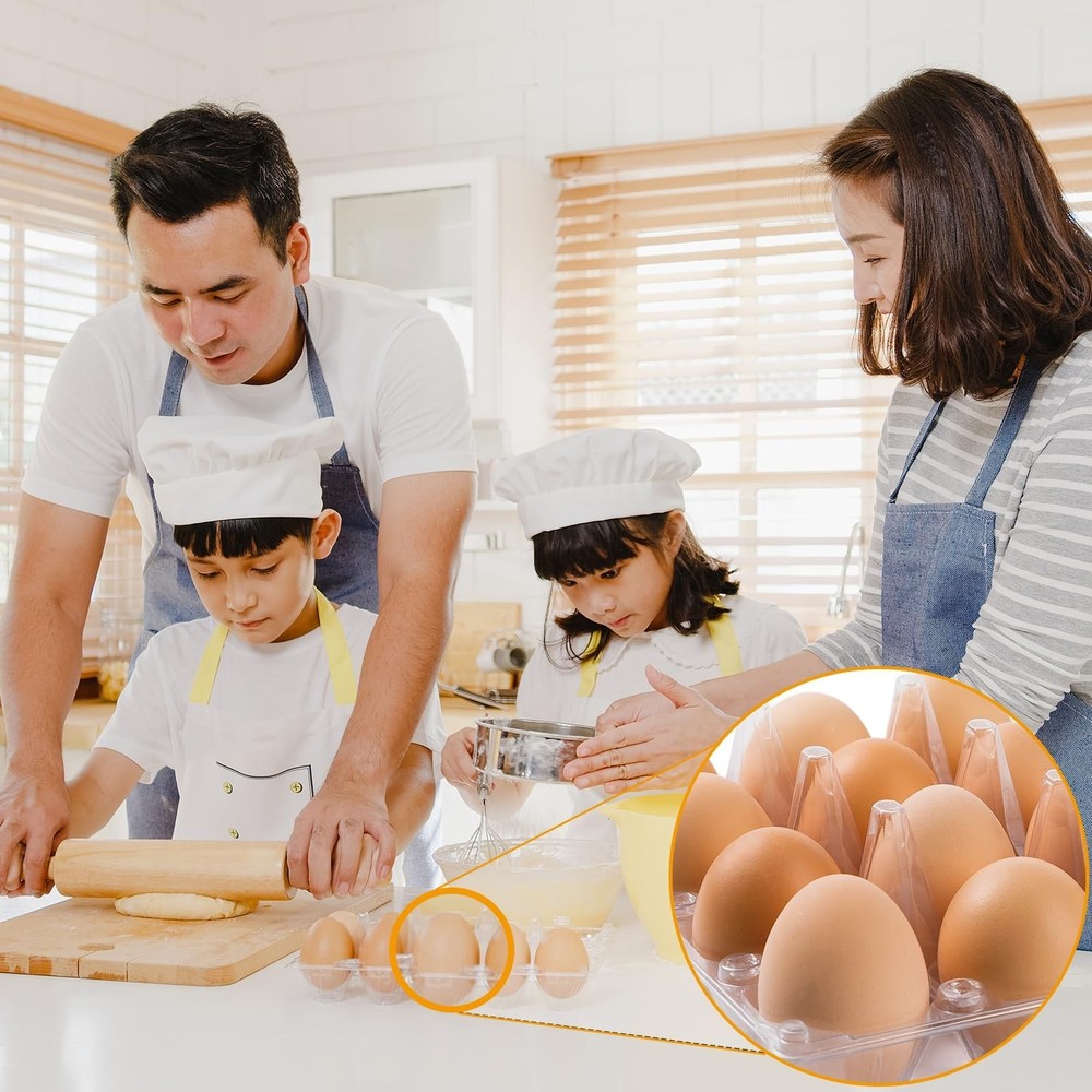 48 Pack Egg Cartons Cheap Bulk 12 Count, 1 Dozen Clear Empty Chicken Egg Cart...