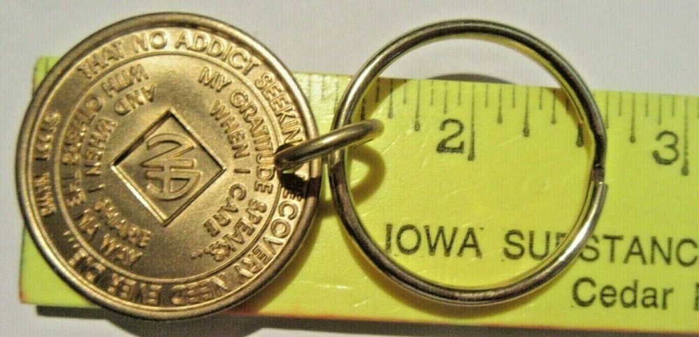 NARCOTICS ANONYMOUS NA KEY TAG 21 YEAR Keyring medallion Serenity Clean