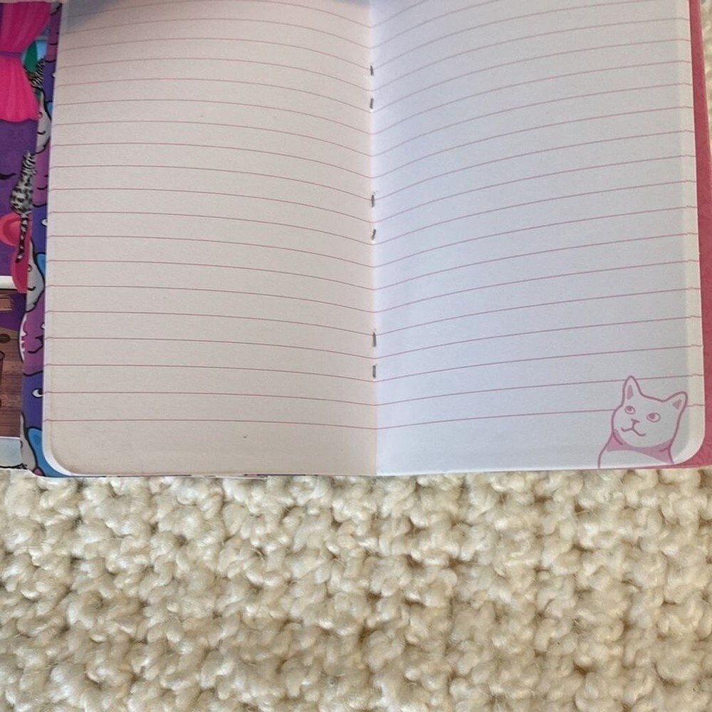 Three Crazy Cat Lady Archie McPhee Notebooks
