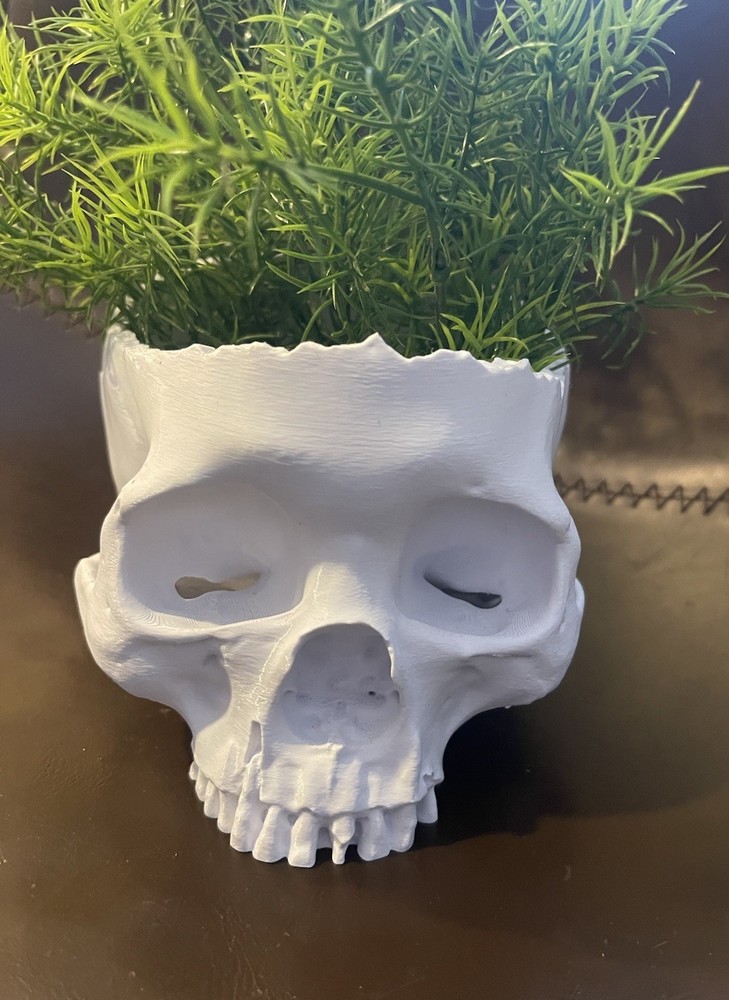 Plastic White Human Skull Pot Planter For Succulents