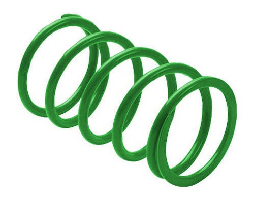 EPI Clutch Spring Green KSS9