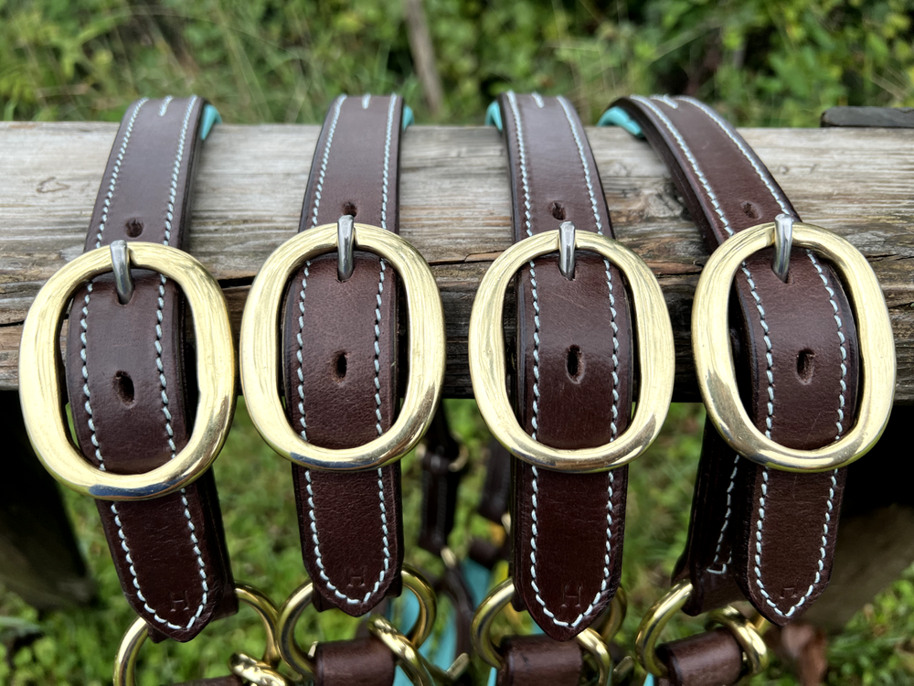 Leaders 1" Leather Halter with Turquoise Padding and Solid Brass Hardware