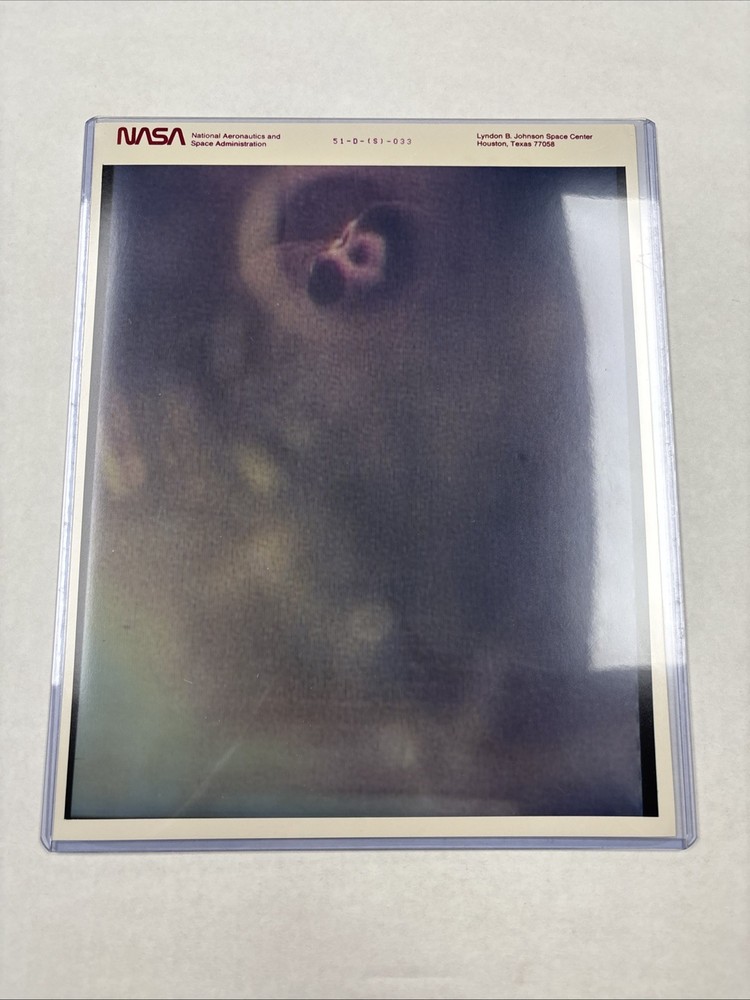 NASA Spacelab 3 Squirrel Monkey Purple Numbered Press Photo