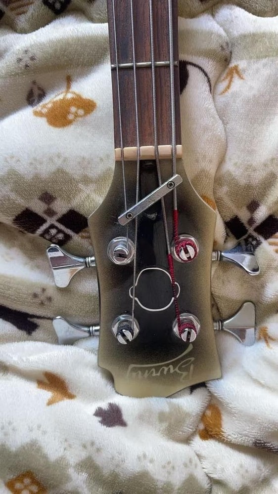 Bunny Burny Electric Bass