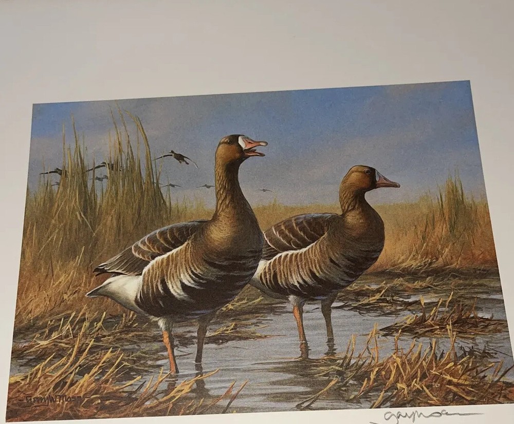 1987 TEXAS State Duck Stamp Print GARY MOSS with Stamp