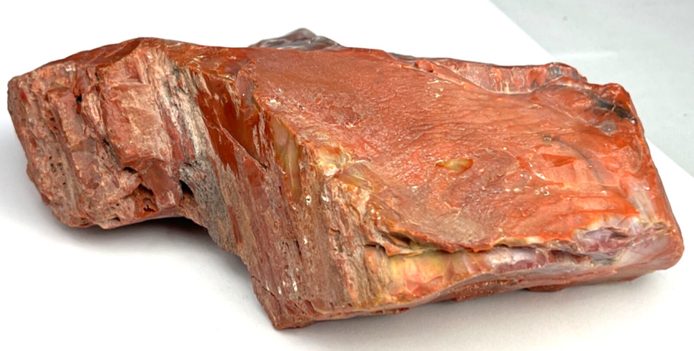 Arizona Petrified Wood | Opalized Agatized | Rainbow | 2 lbs. 4 oz.