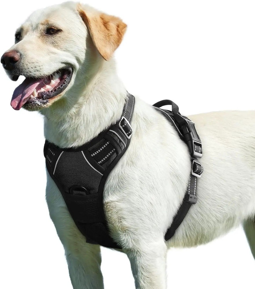 No Pull Dog Harness & Leash Adjustable, Reflective, Soft Padded Comfort