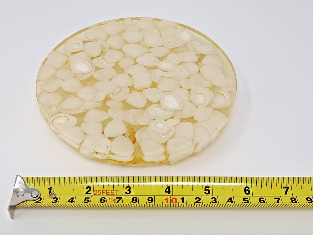 Resin Seashell Trivet 6" diameter white shells clear-ish stands 1" tall