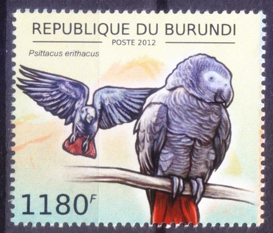 Grey Parrot, Birds, Burundi 2012 MNH