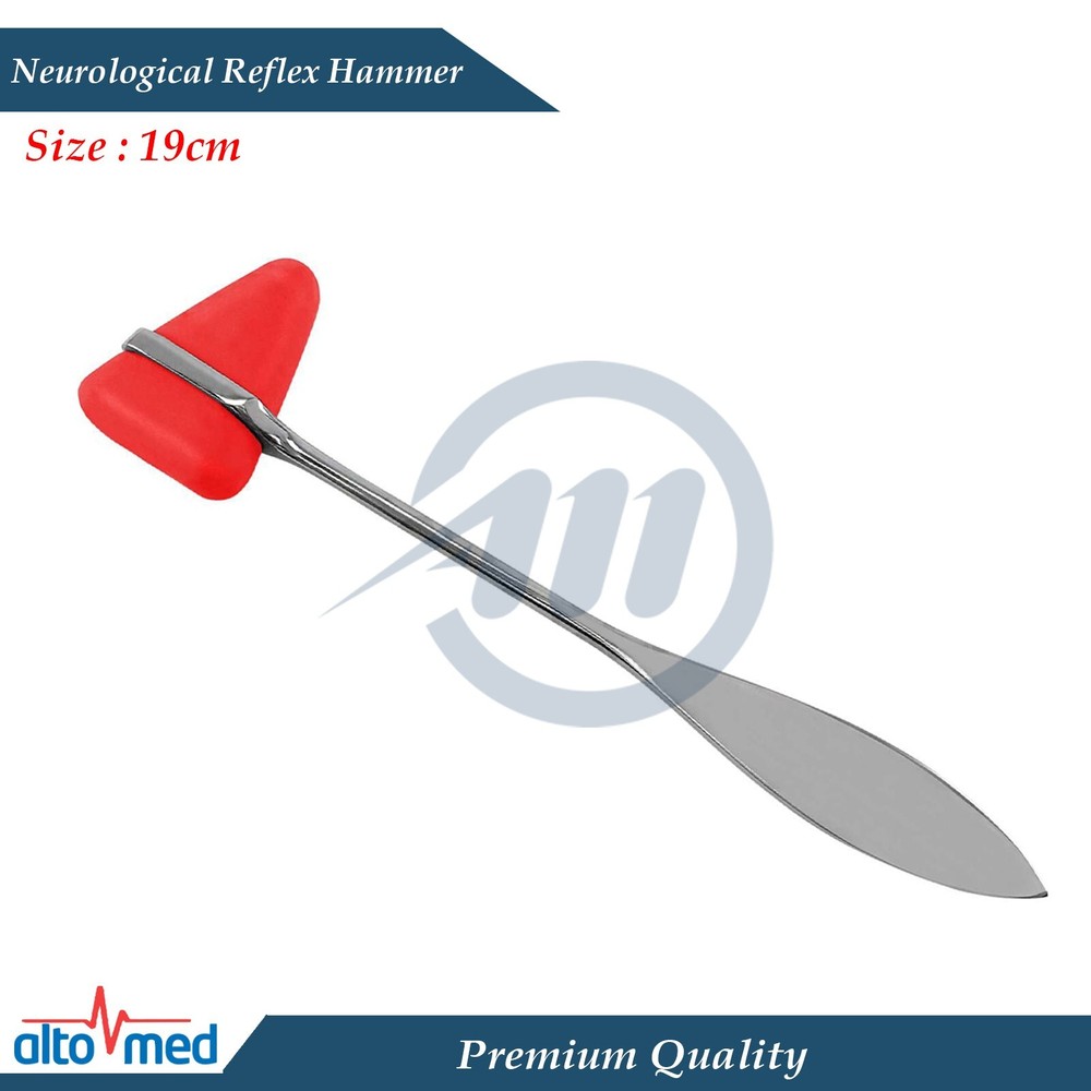 Neurological Diagnostic Examination Taylor Percussion Reflex Buck Hammers Lab