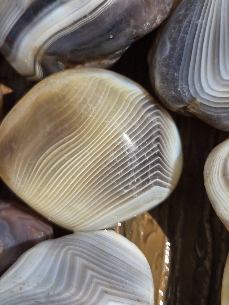 Botswana Agate Selects - WHIRLEYBIRDS - Rough, Natural, Not Polished A+ Grade