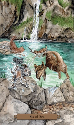 Magical Dogs Tarot Card Deck, by Mickie and Daniel Mueller!