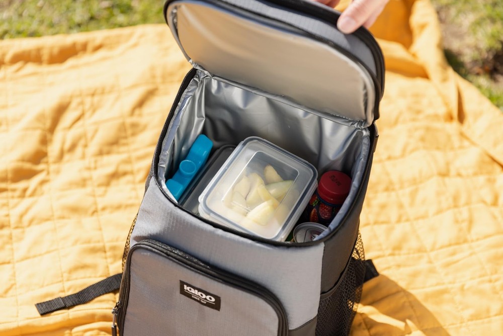 Large Maxcold 2 Pack Ice Block, Reusable Ice Packs for Coolers, Freezer Pack,...