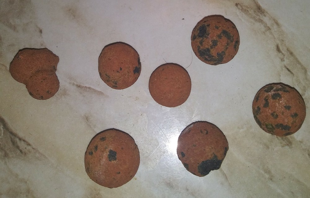 Hydro Clay Lightweight Expanded Clay Pebbles - Hydroponics