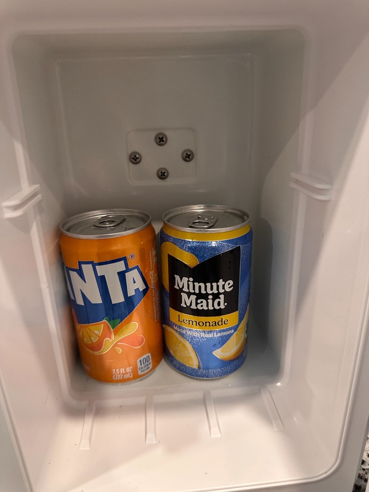 Mini Fridge Compact Portable Cooler Warmer AC Plug Small Refrigerator