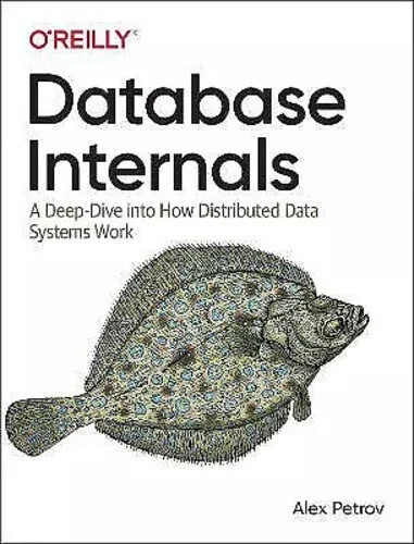 Database Internals : A Deep Dive into How Distributed Data Systems Work by Alex