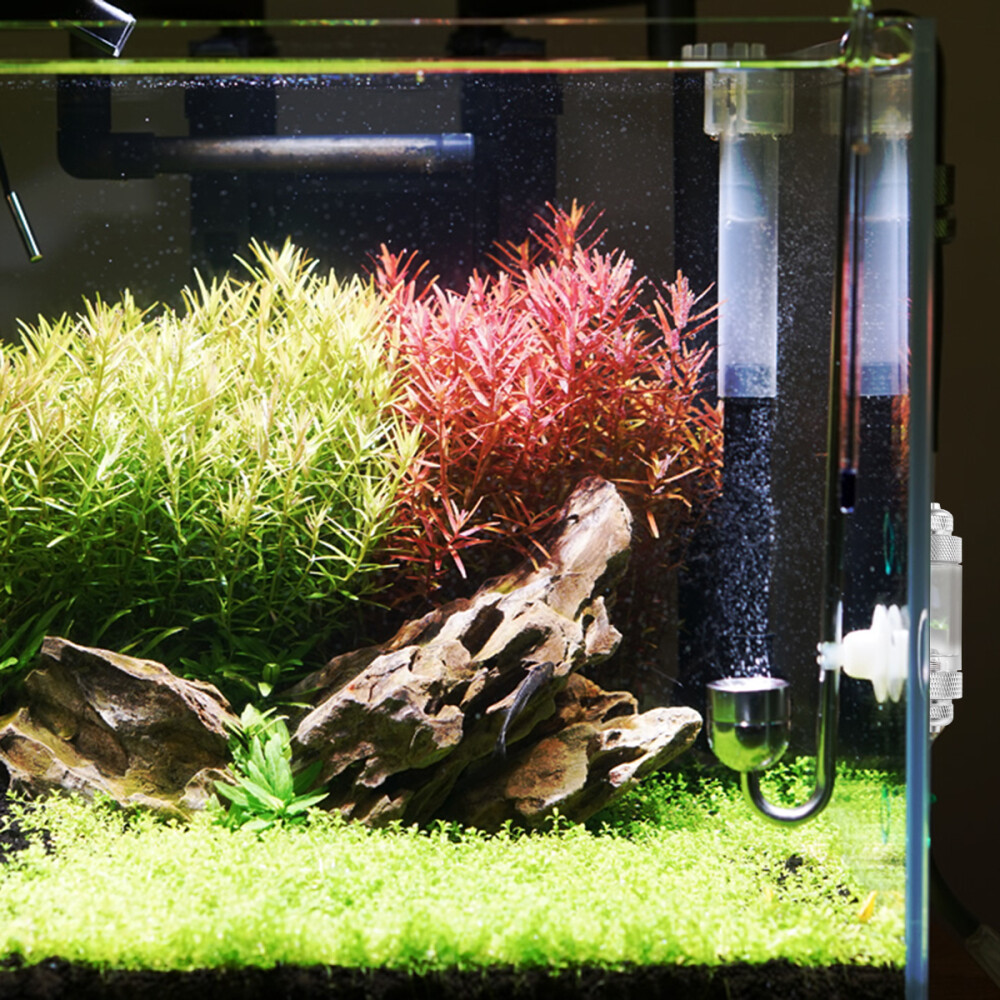Double Head Water Plant Diffuser CO2 Non-return Bubble Counters For Aquarium