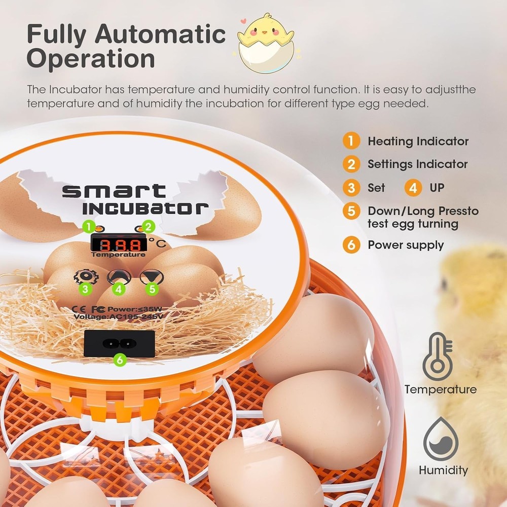 12 Egg Incubator with Automatic Egg Turning and Temperature Control, Automati...