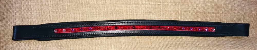 Matching Red Stirrups, Browband, and Fly Bonnet