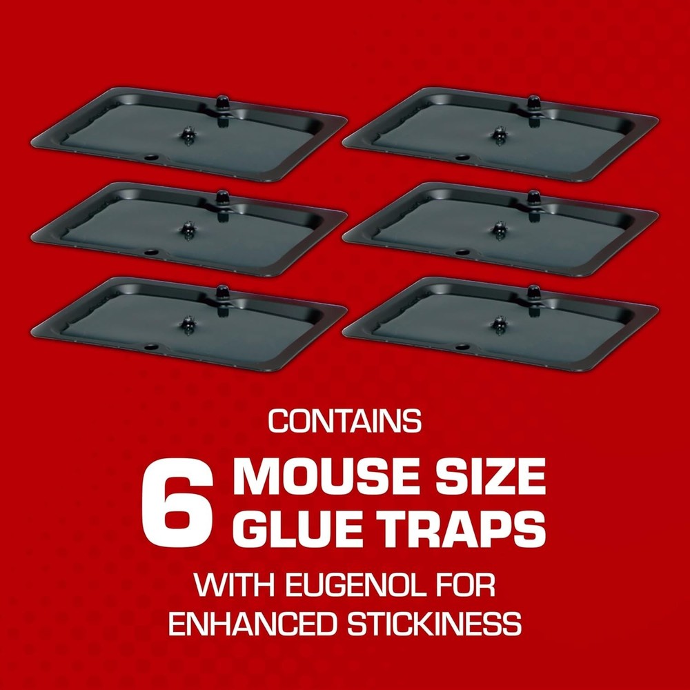 Eugenol Enhanced Mouse Glue Traps - Effective Pest Control, 6 Disposable Traps