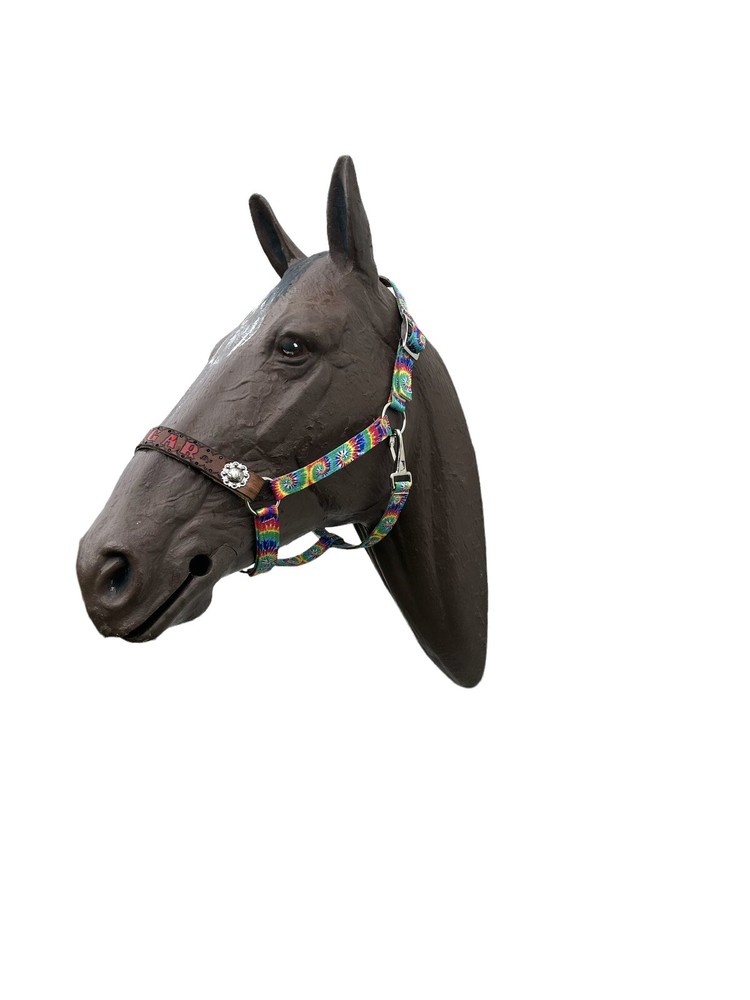 Personalized Horse Halter