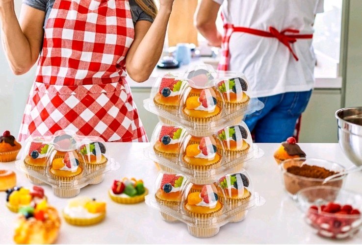 4 Compartment Cupcake Containers 30 Pack Holder with Connected Airtight Lid