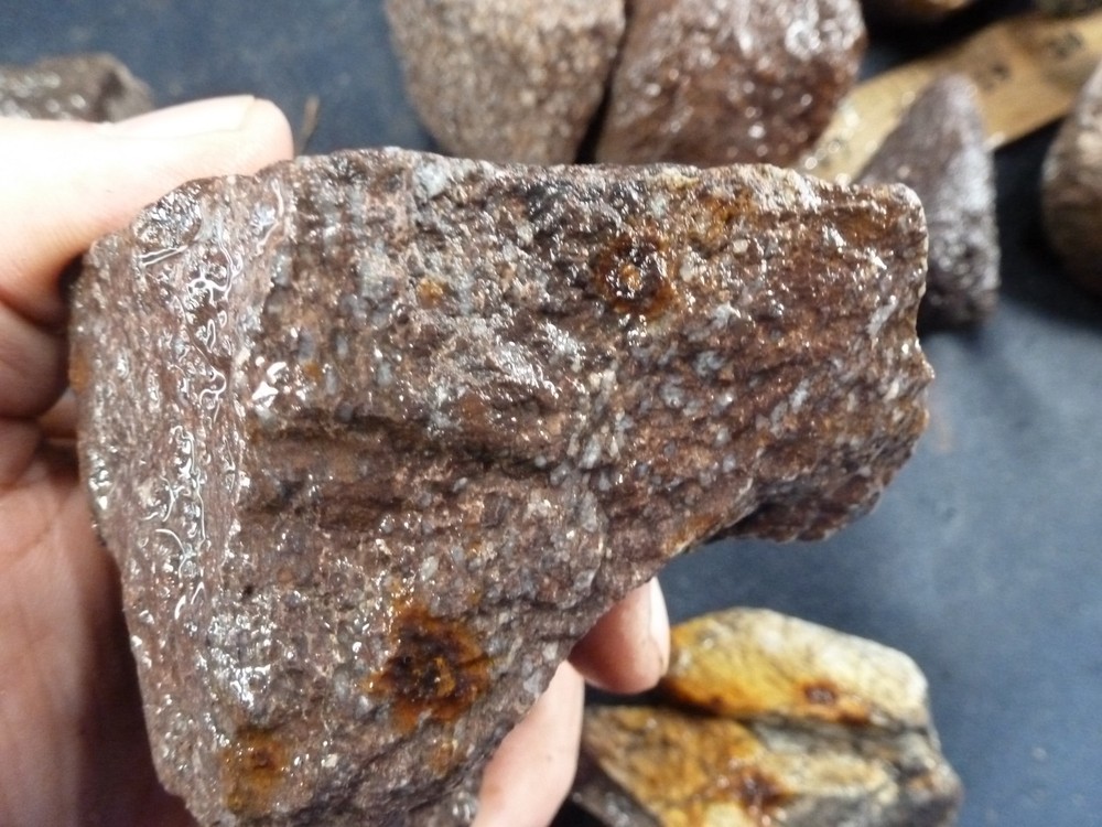 CSS: 6.8 lbs Of Dino Bone Gembone Rough