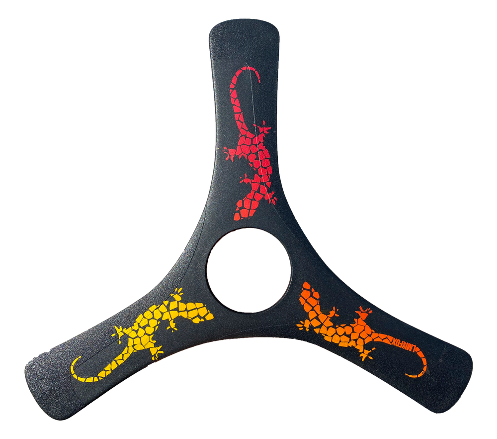 Spin Racer Carbon Boomerang