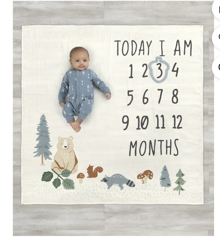 Gerber Milestone Blanket