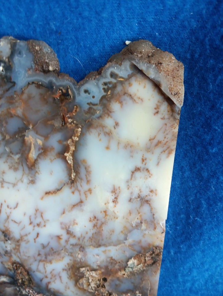 Graveyard Point Plume Agate rock slab lapidary cabbing 4x6