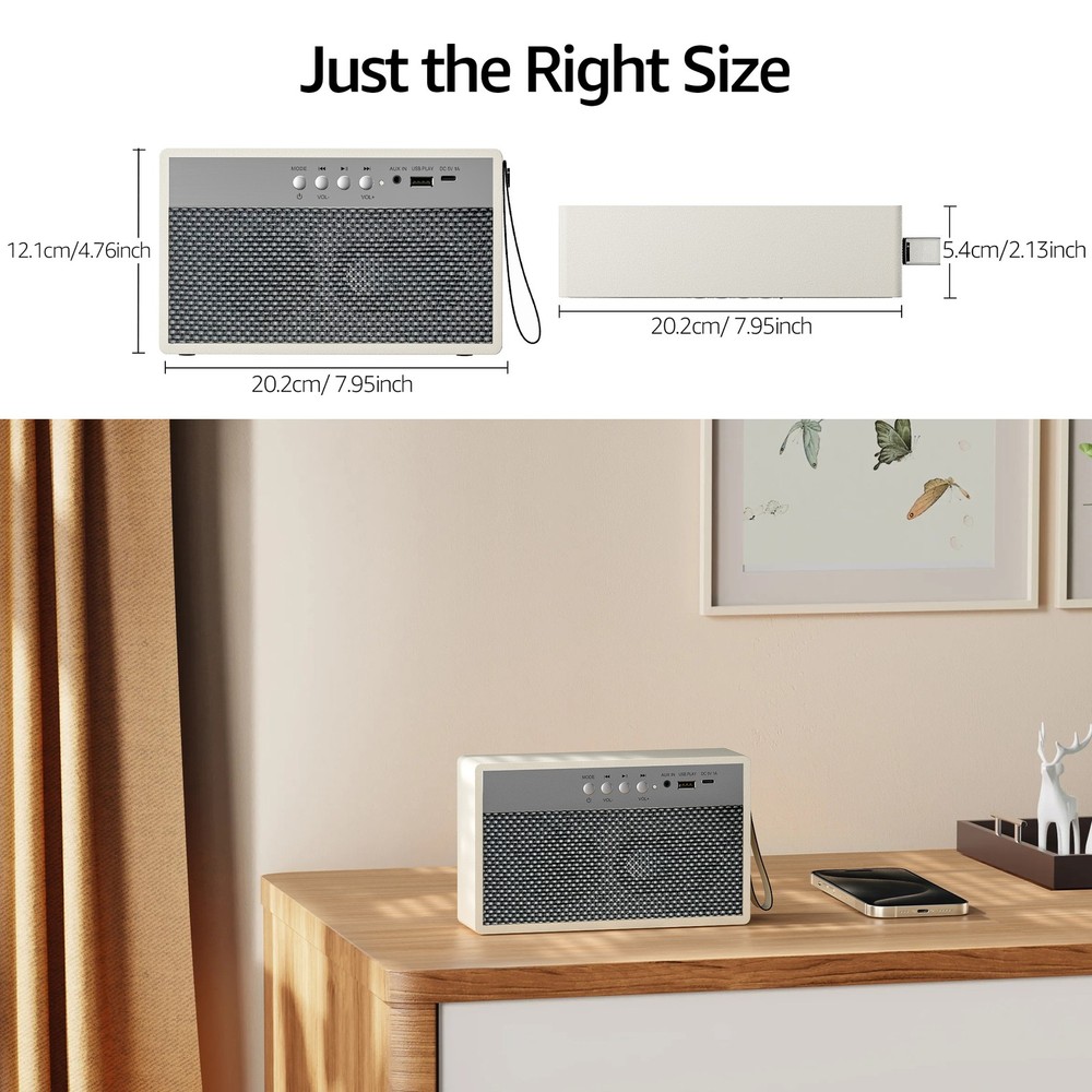 Wireless Portable Speaker With USB & Aux Inputs, Rechargeable Battery