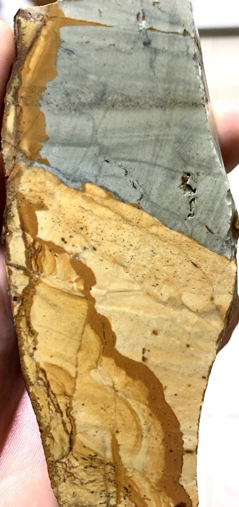 Owyhee Picture Jasper Slab