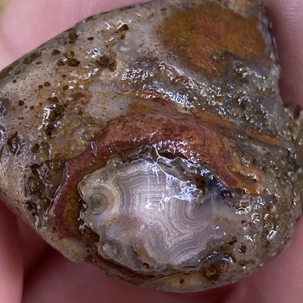 Lake Superior Agate Rough 0.85 Oz