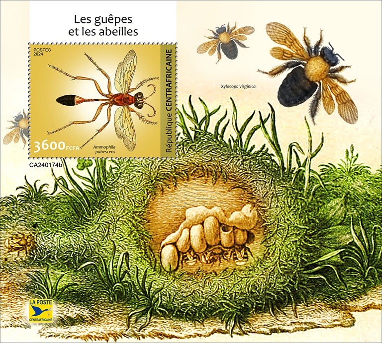 Wasps and bees