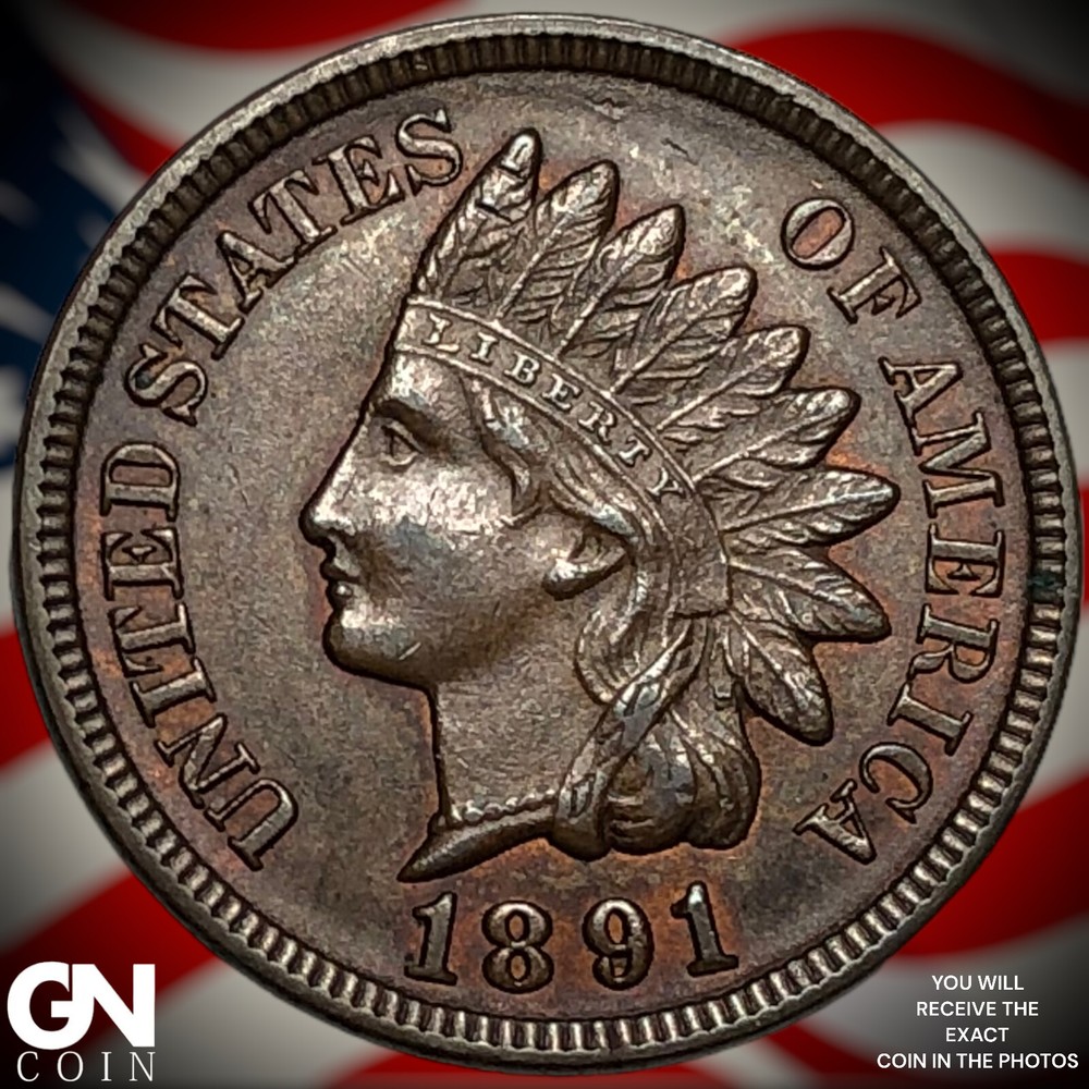 1891 Indian Head Cent Penny X8532