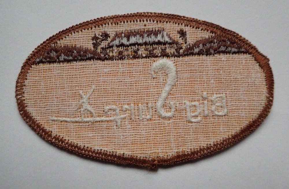 Vintage Big Surf Patch