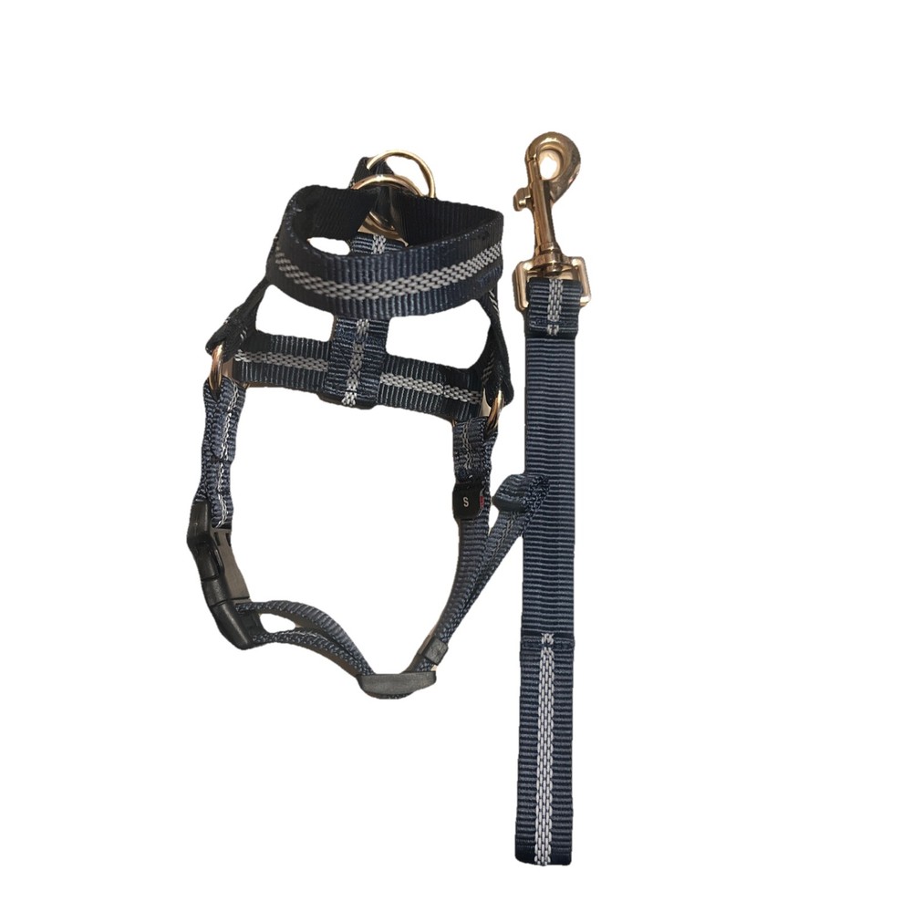 Barkless Headcollar  Seatbelt Small🐶🐶🐶🐶🐶