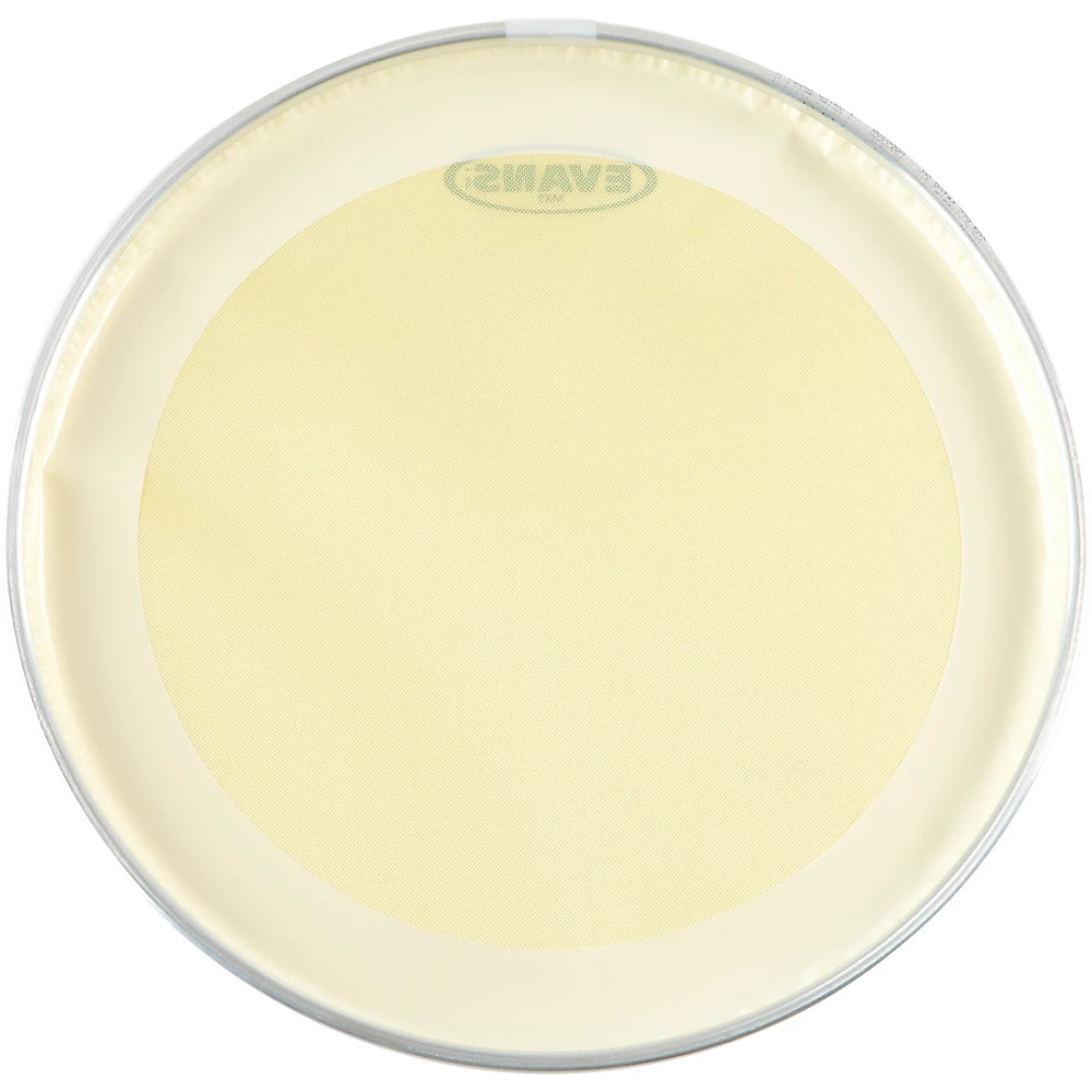 Evans MX5 Snare Side Head 14 in.