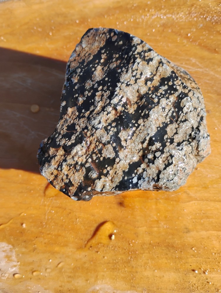 Snowflake Obsidian Rough Specimen
