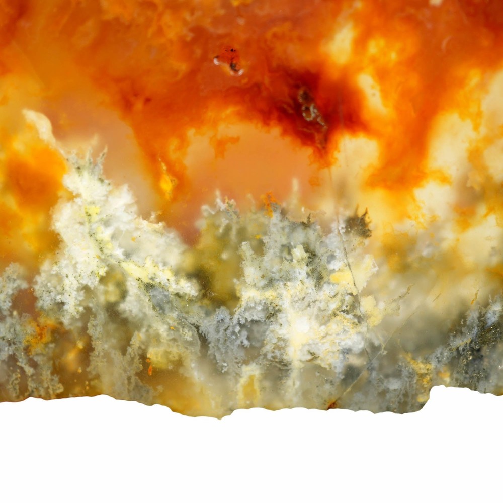 Graveyard Point Plume Agate Slab - Marcasite Plumes