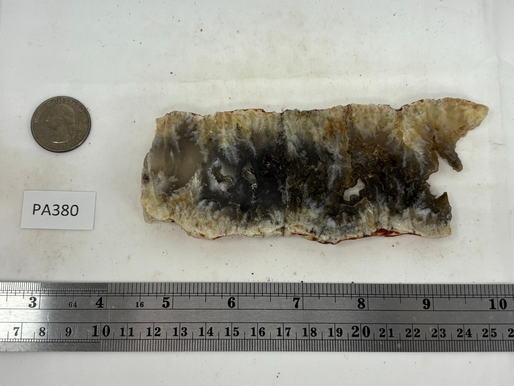 Plume Agate slab Cabbing Lapidary Combo Ship Avail Oregon