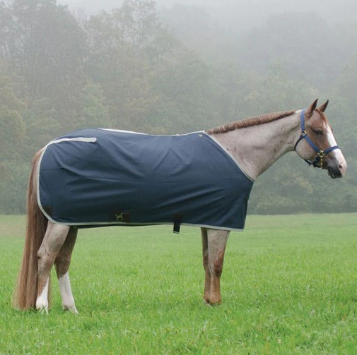 Big D Nylon Horse Stable Sheet Size 68