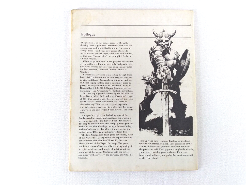 D&D DUNGEON MASTERS COMPANION : BOOK TWO