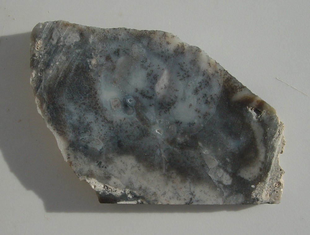 Dendritic Agate Lapidary Slab T1127