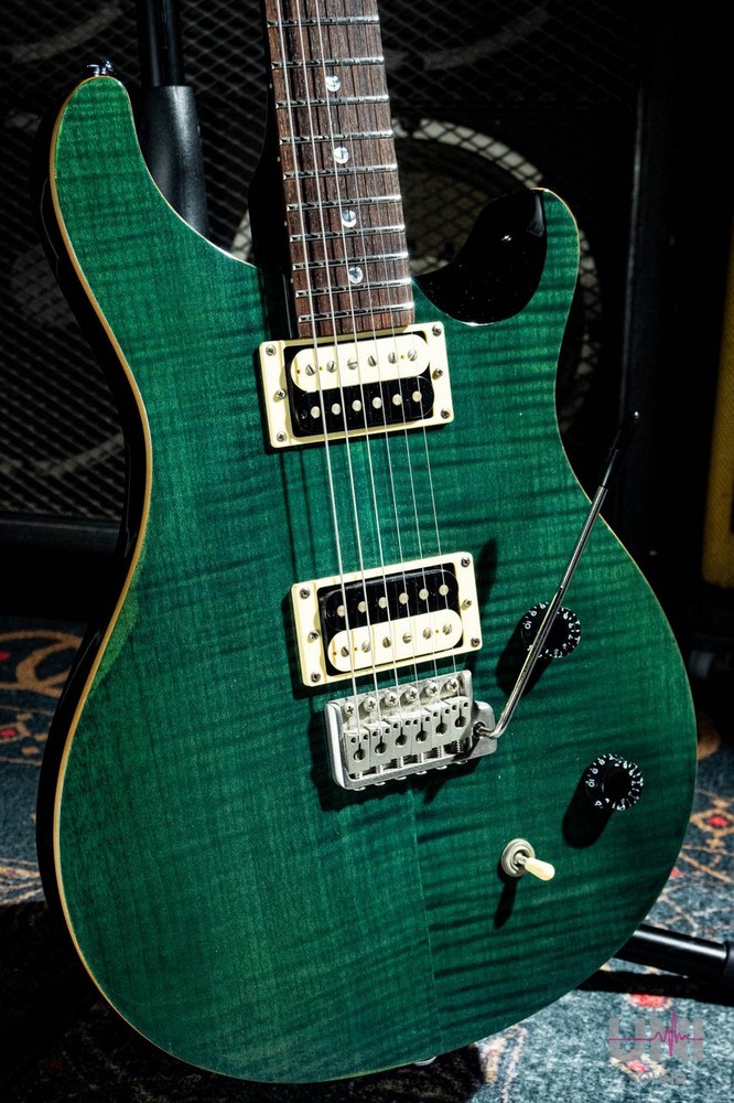 Paul Reed Smith (PRS) SE Custom / 2008 (no260422)