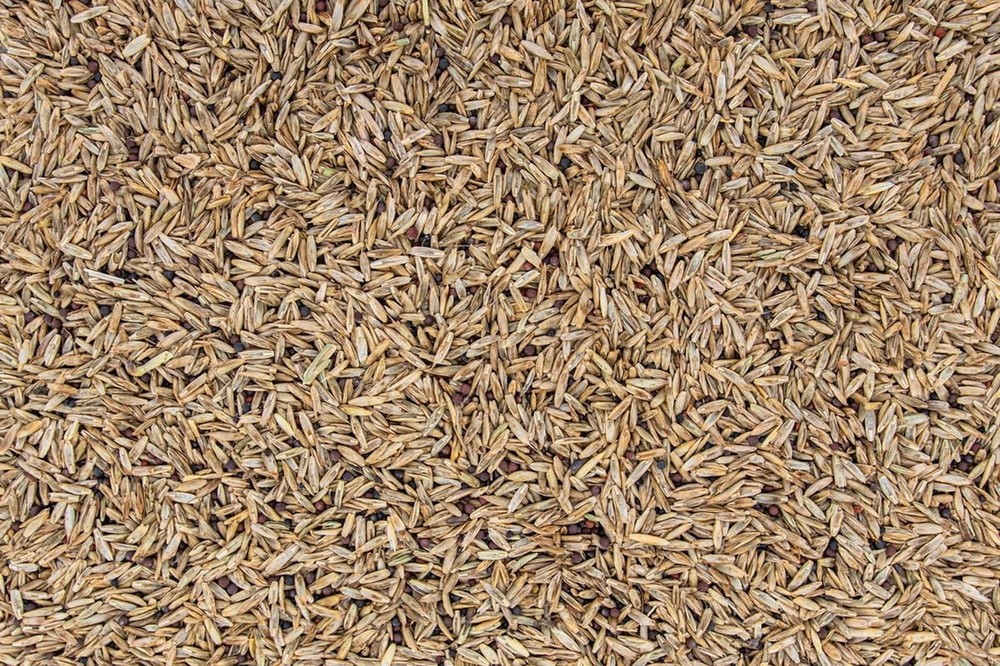 Throw & Grow W/ Clover 5LBS