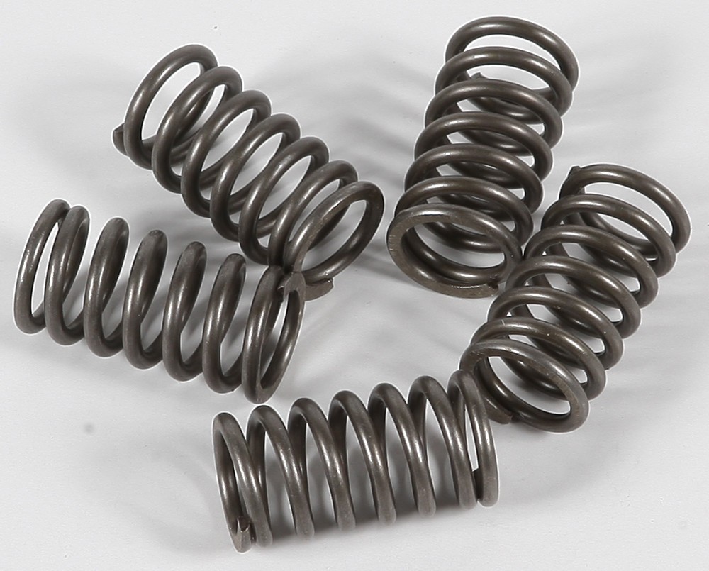 EBC CSK Clutch Spring Kit CSK118